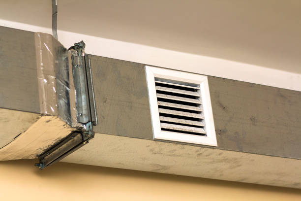 Best Professional Duct Cleaning Services  in Ave Maria, FL
